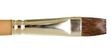 leo-1101pl