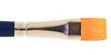 leo-1158pl