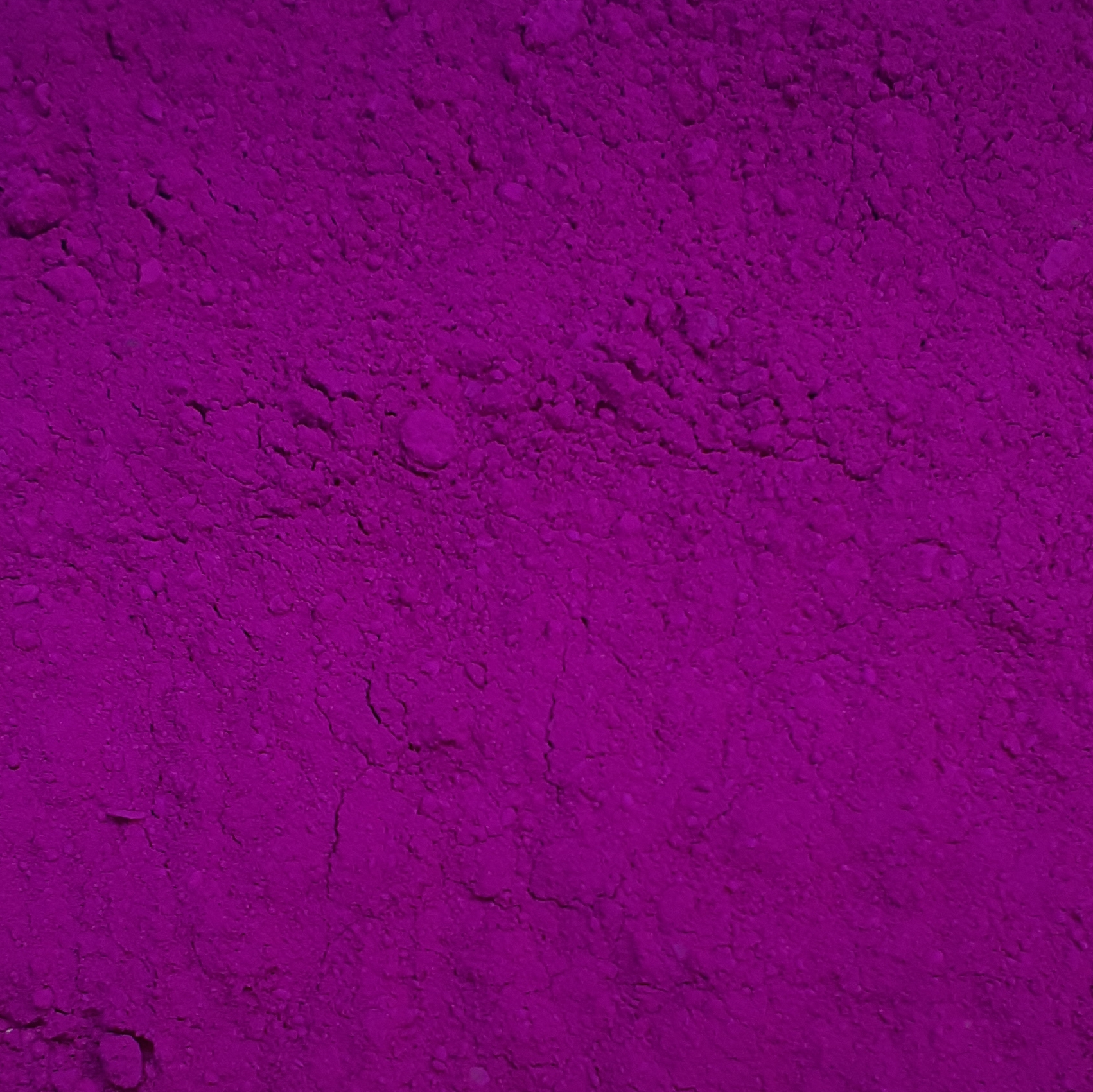 586596 light purple groot