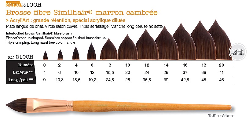 Tubes Des Pinceaux Multicolores De Peinture à L'huile Et D'artiste Sur